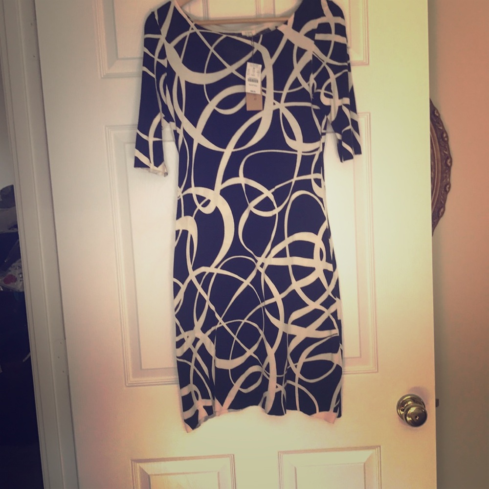 Long sleeve JCrew dress.